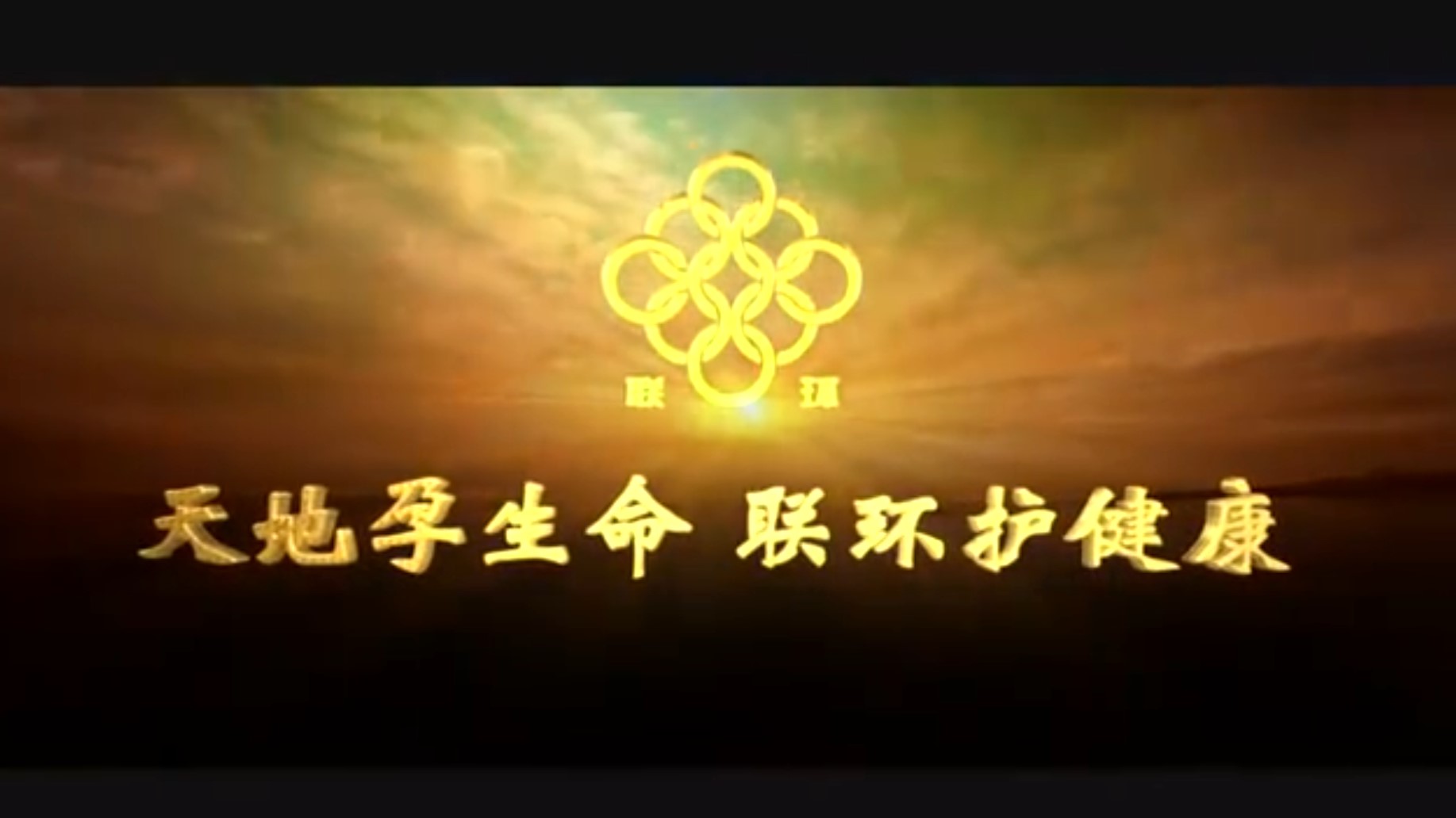 bv伟德源自英国始于1946集团厂歌
